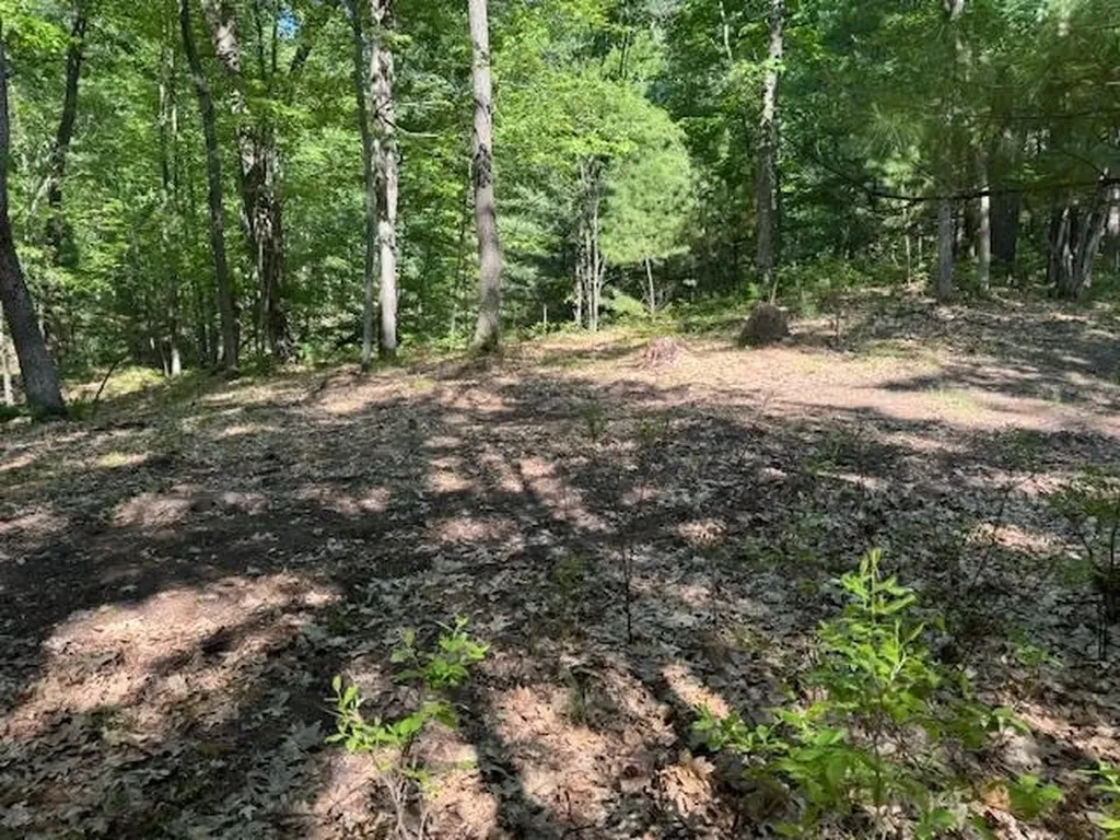 9440 W Oak Drive Caldwell Township MI 49651