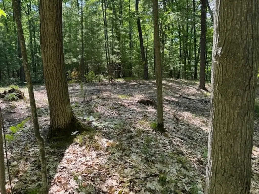 9440 W Oak Drive Caldwell Township MI 49651