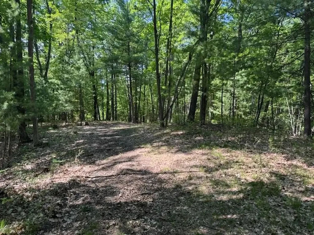 9440 W Oak Drive Caldwell Township MI 49651