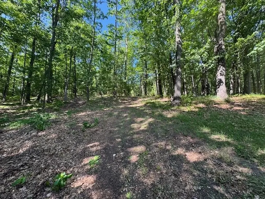 9440 W Oak Drive Caldwell Township MI 49651