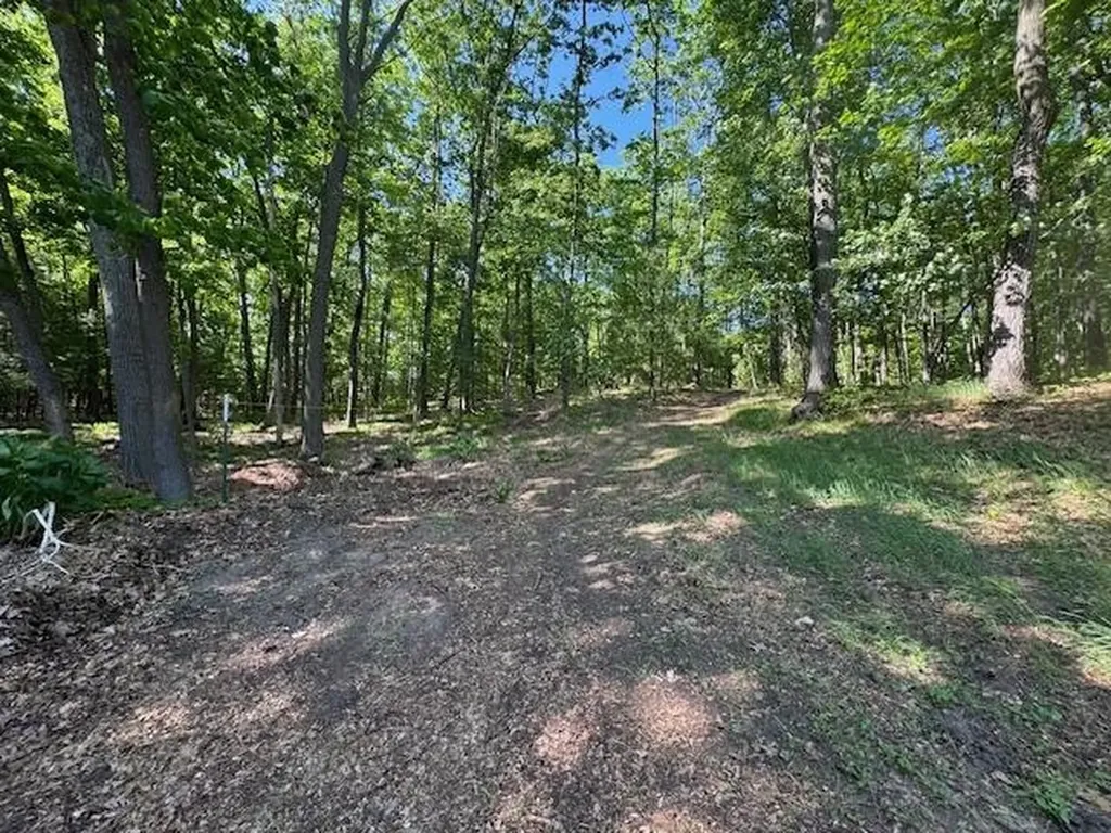 9440 W Oak Drive Caldwell Township MI 49651