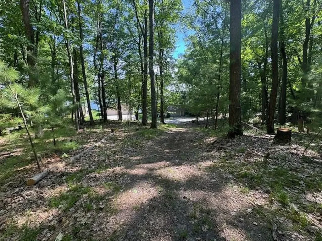 9440 W Oak Drive Caldwell Township MI 49651