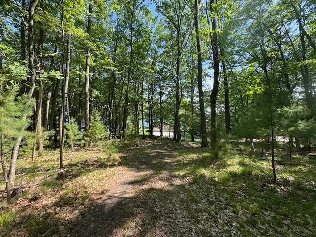 9440 W Oak Drive Caldwell Township MI 49651