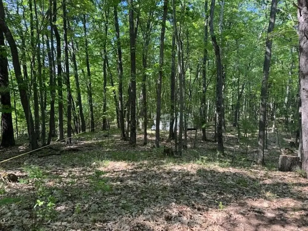 9440 W Oak Drive Caldwell Township MI 49651