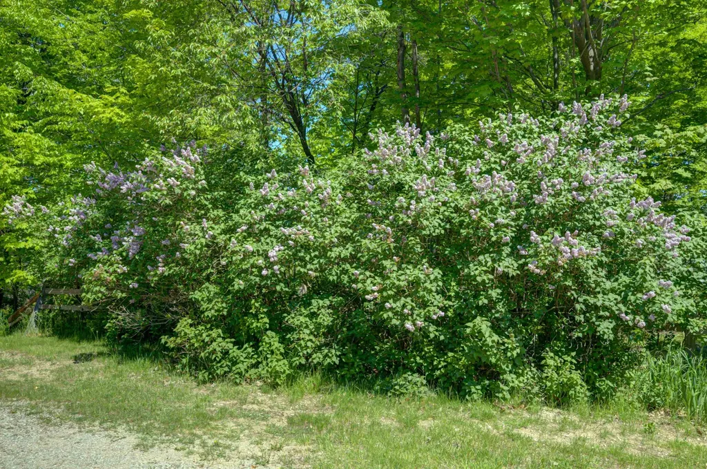8134 NW Ruttan Road Clearwater Township MI 49612