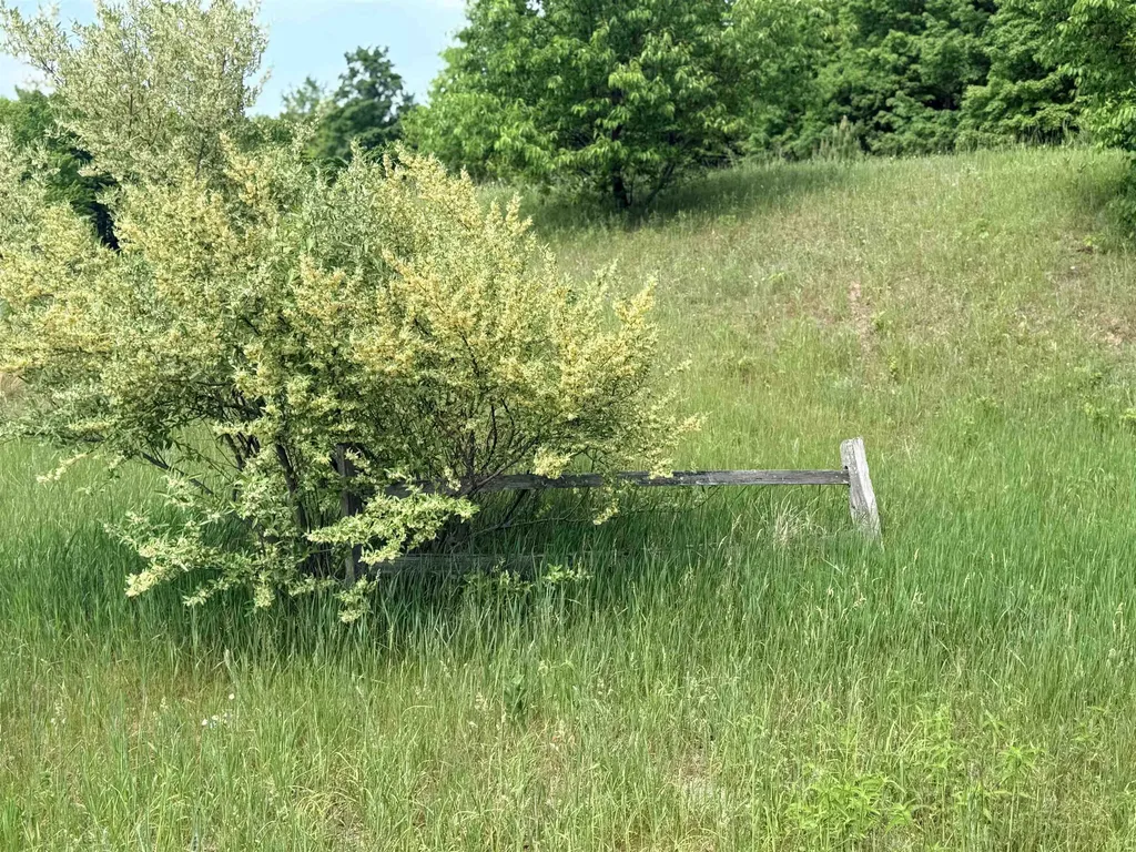 00 W Sleepy Valley Drive Empire Township MI 49630