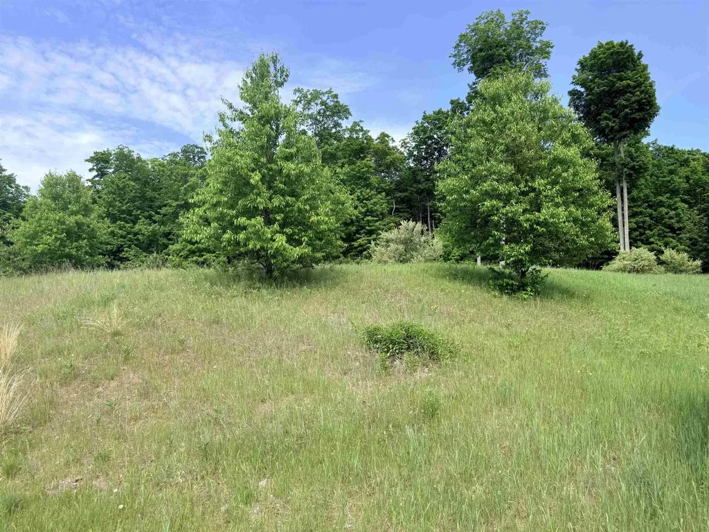 00 W Sleepy Valley Drive Empire Township MI 49630