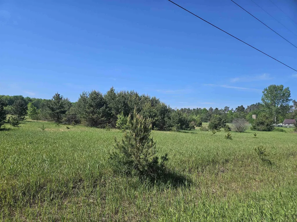 V/l Parcel B SE Grass Lake Road Excelsior Township MI 49646