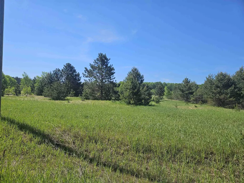 V/l Parcel B SE Grass Lake Road Excelsior Township MI 49646