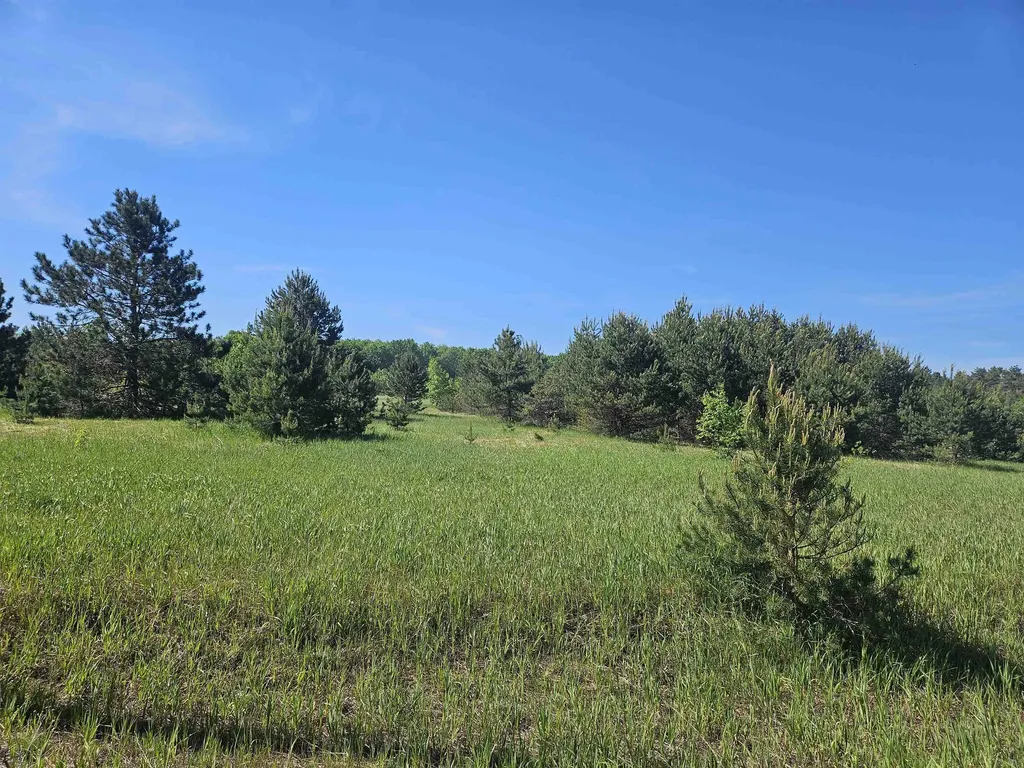 V/l Parcel B SE Grass Lake Road Excelsior Township MI 49646
