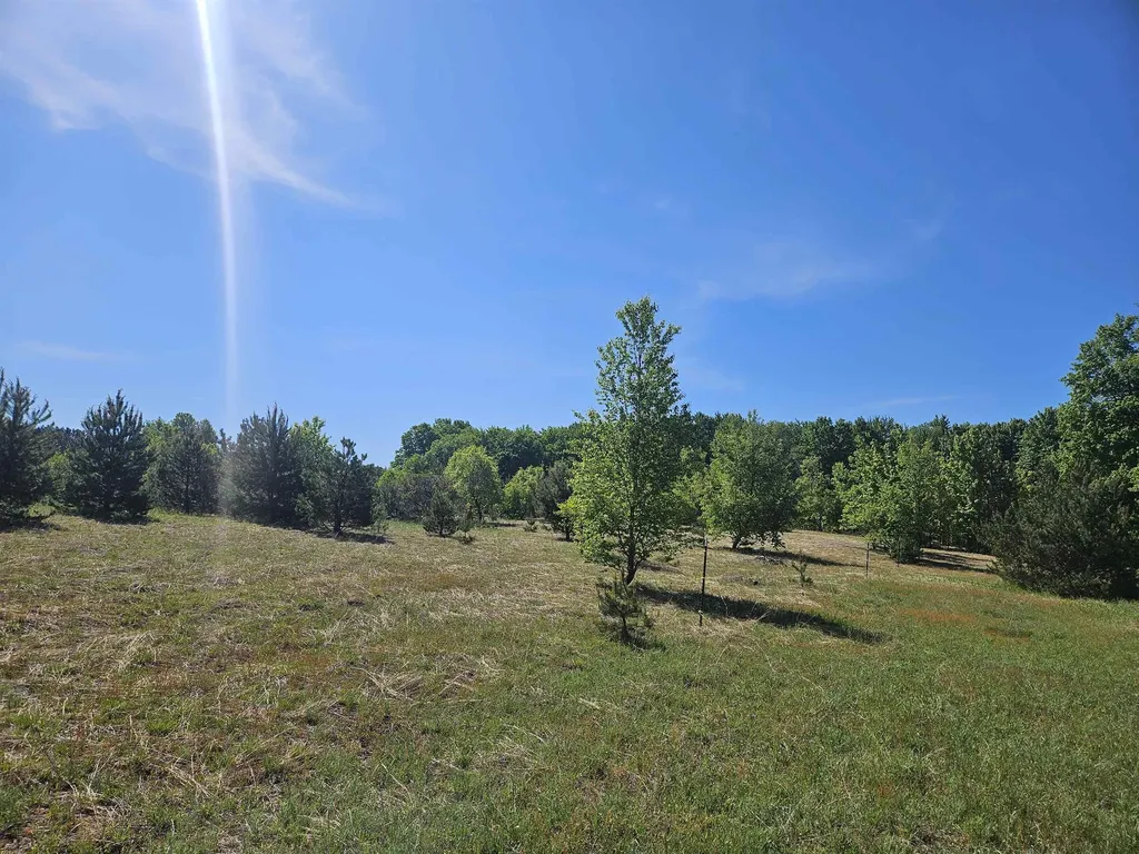 V/l Parcel B SE Grass Lake Road Excelsior Township MI 49646