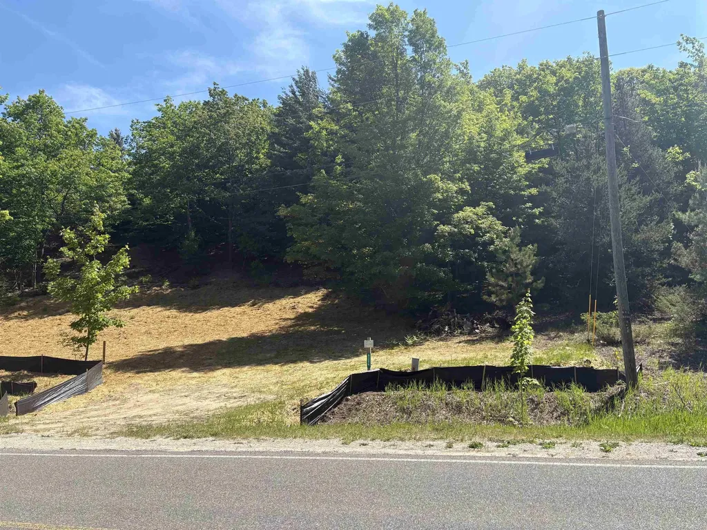 9394 E Hoxie Road Elmwood Charter Township MI 49621