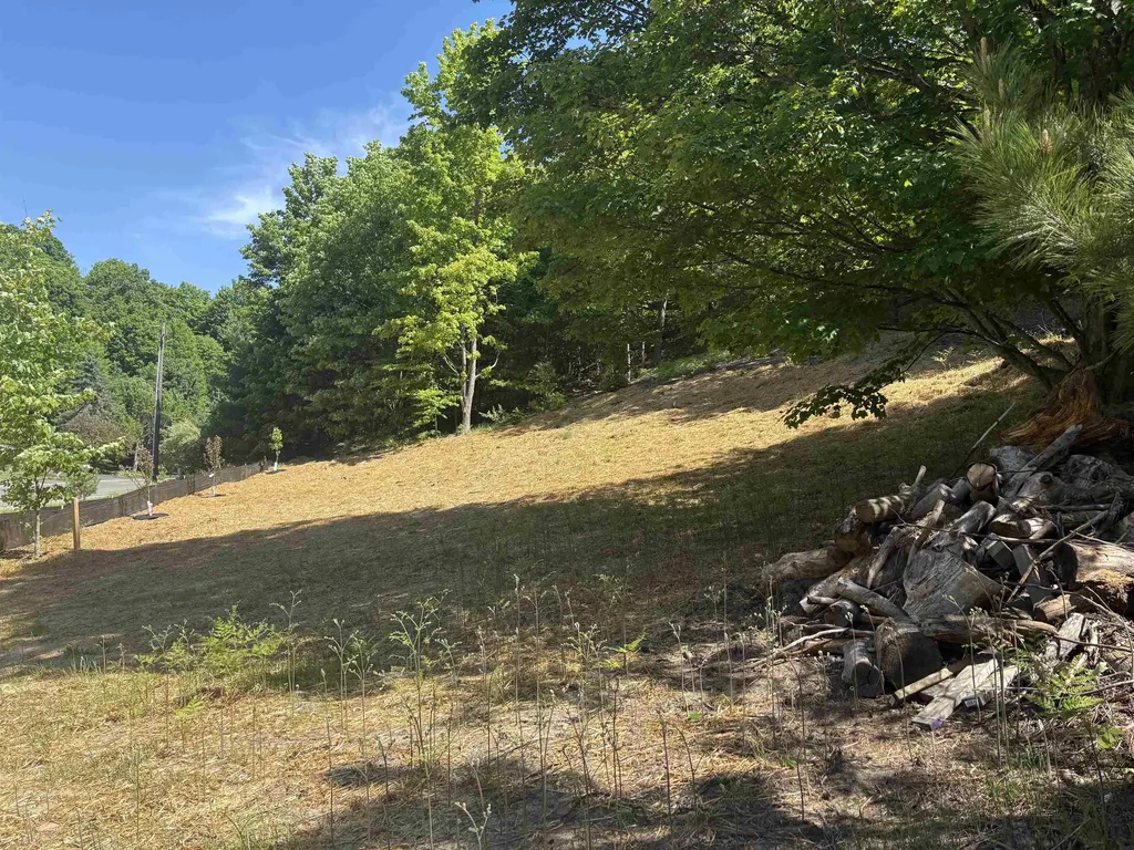 9394 E Hoxie Road Elmwood Charter Township MI 49621