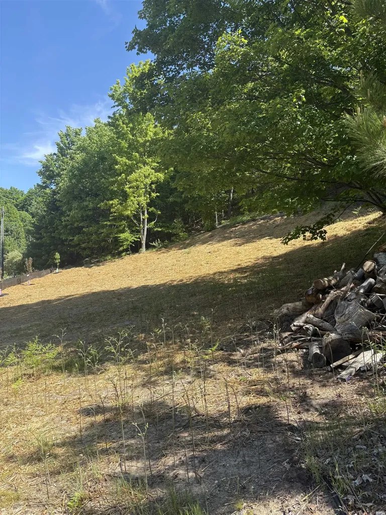 9394 E Hoxie Road Elmwood Charter Township MI 49621