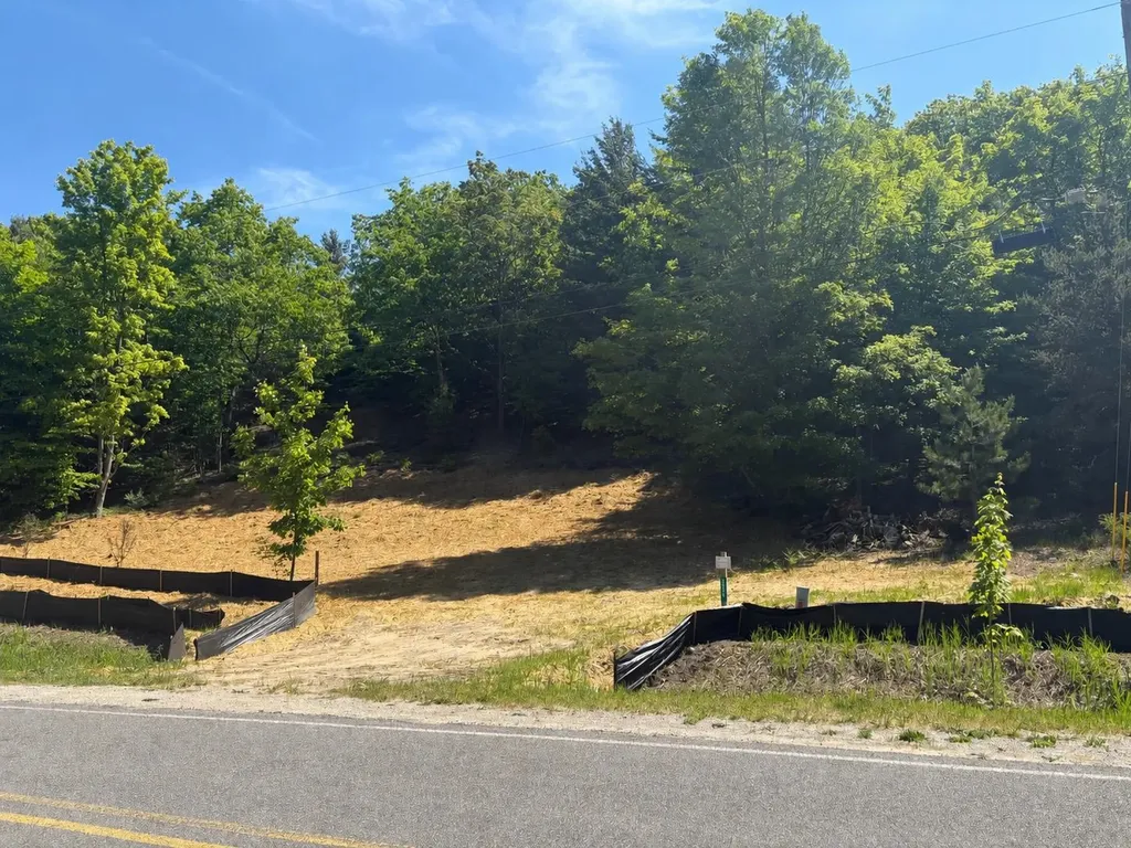 9394 E Hoxie Road Elmwood Charter Township MI 49621