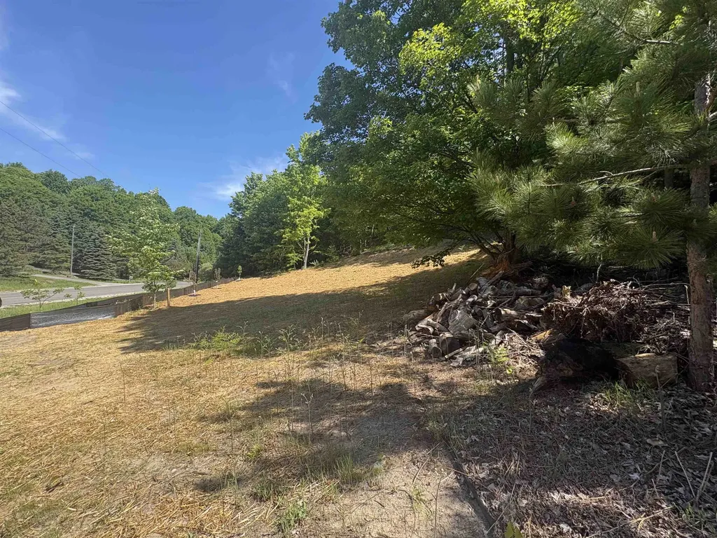 9394 E Hoxie Road Elmwood Charter Township MI 49621