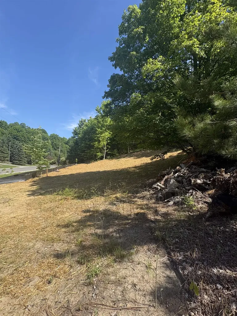 9394 E Hoxie Road Elmwood Charter Township MI 49621