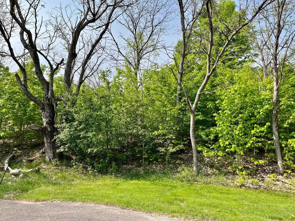 Units 162 & 163 Spyglass Hill Court Custer Township MI 49615
