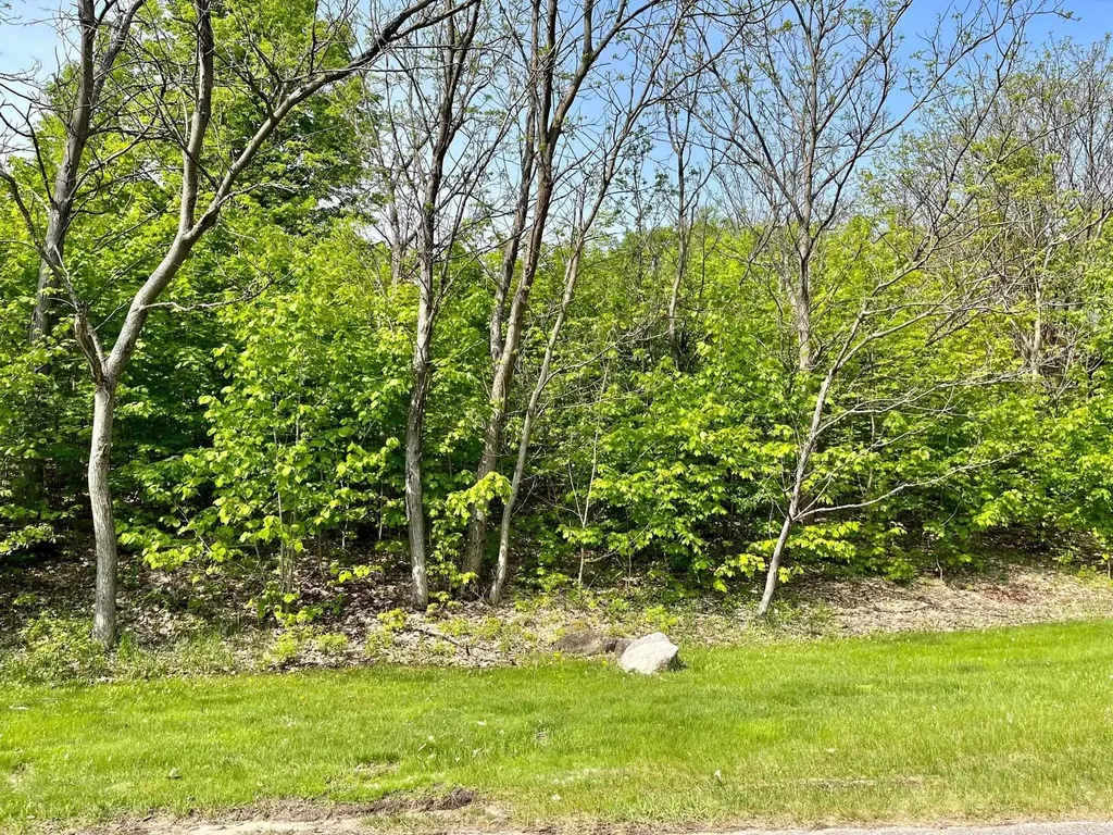 Units 162 & 163 Spyglass Hill Court Custer Township MI 49615