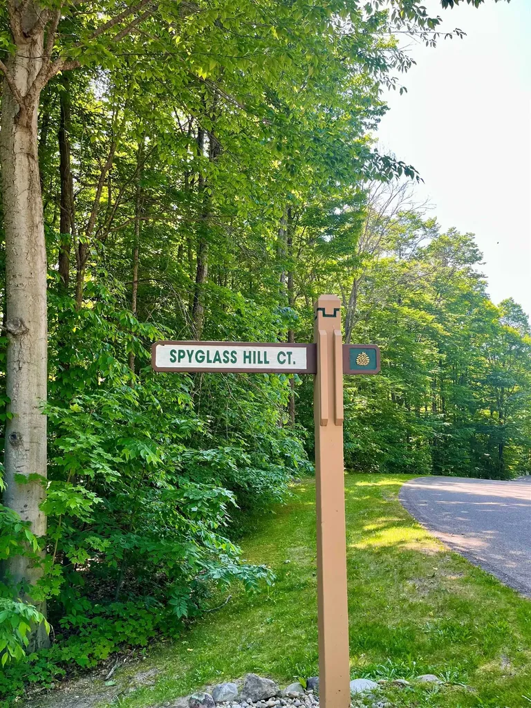 Units 162 & 163 Spyglass Hill Court Custer Township MI 49615