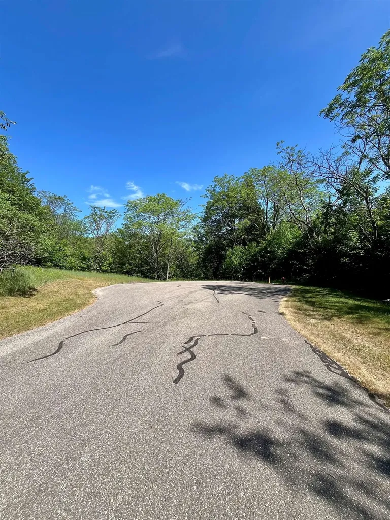 Units 162 & 163 Spyglass Hill Court Custer Township MI 49615