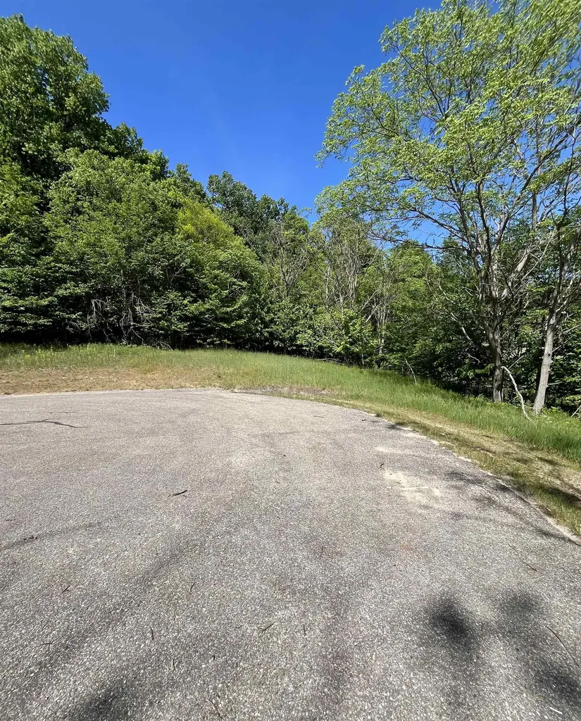 Units 162 & 163 Spyglass Hill Court Custer Township MI 49615