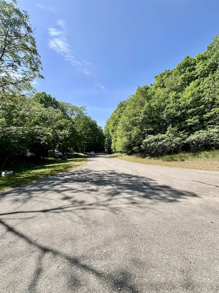 Units 162 & 163 Spyglass Hill Court Custer Township MI 49615