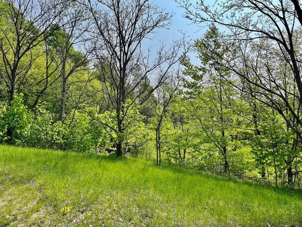 Units 162 & 163 Spyglass Hill Court Custer Township MI 49615