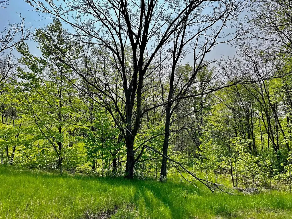 Units 162 & 163 Spyglass Hill Court Custer Township MI 49615