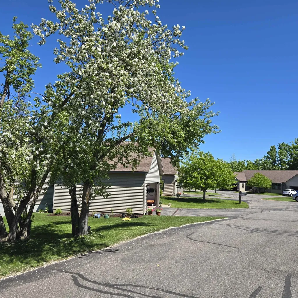 2015 Woods Lane Bear Creek Township MI 49770