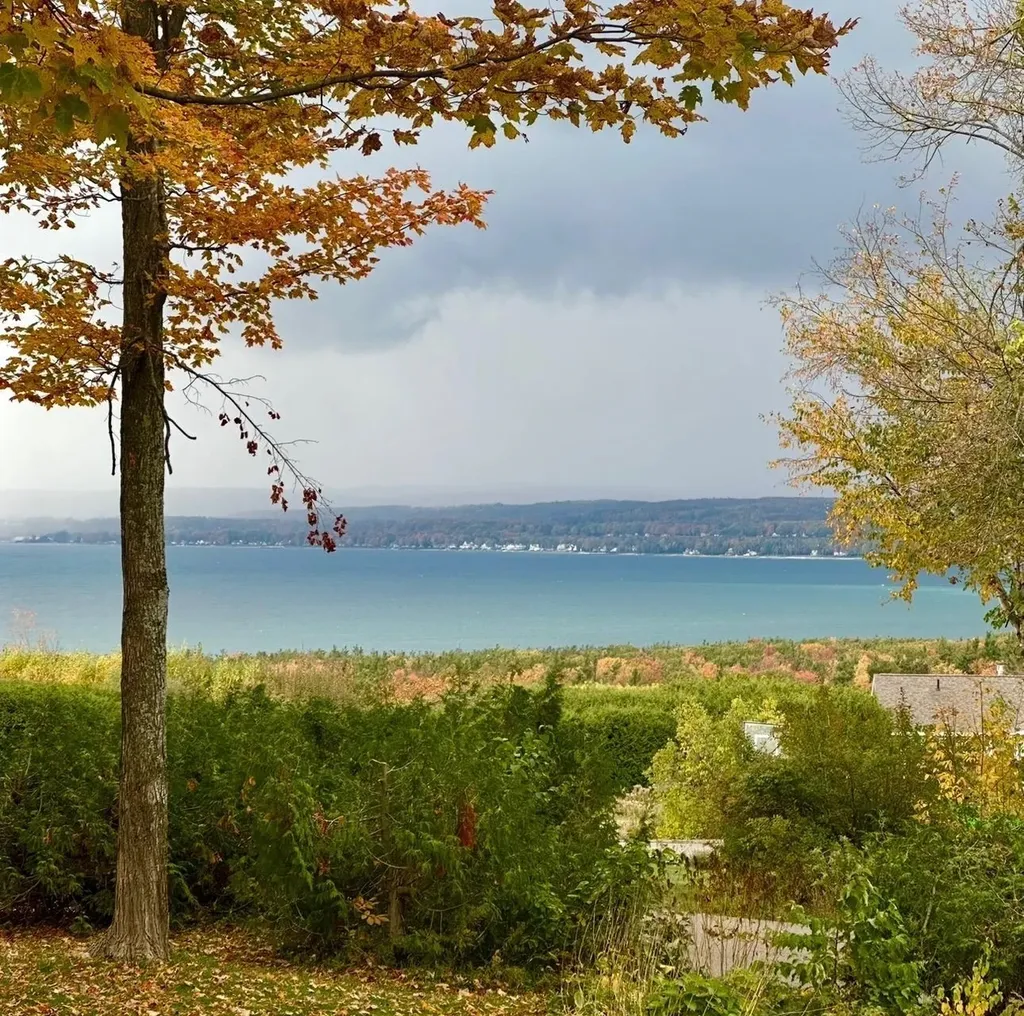 1425 Bay View Heights Bear Creek Township MI 49770