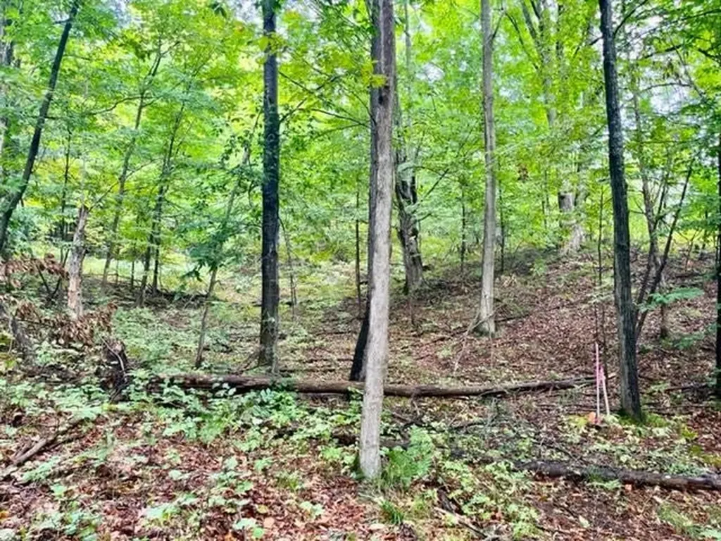 Killdale Avenue Benzonia Township MI 49616