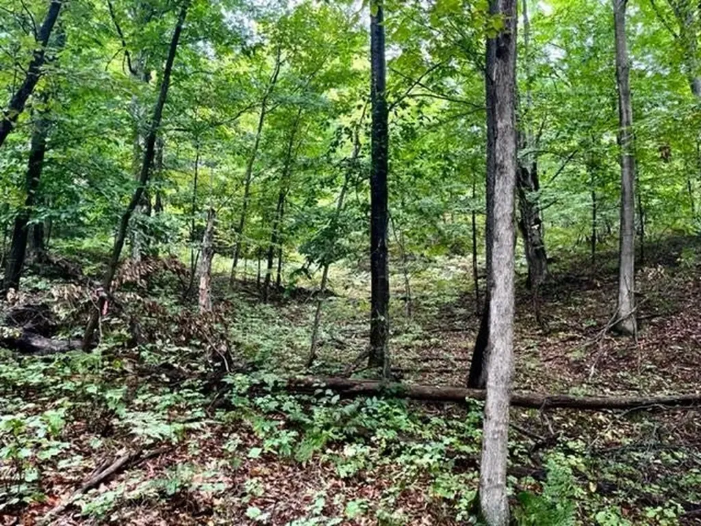 Killdale Avenue Benzonia Township MI 49616