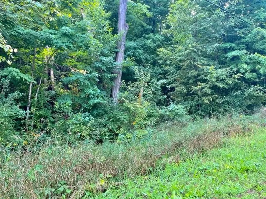 Killdale Avenue Benzonia Township MI 49616