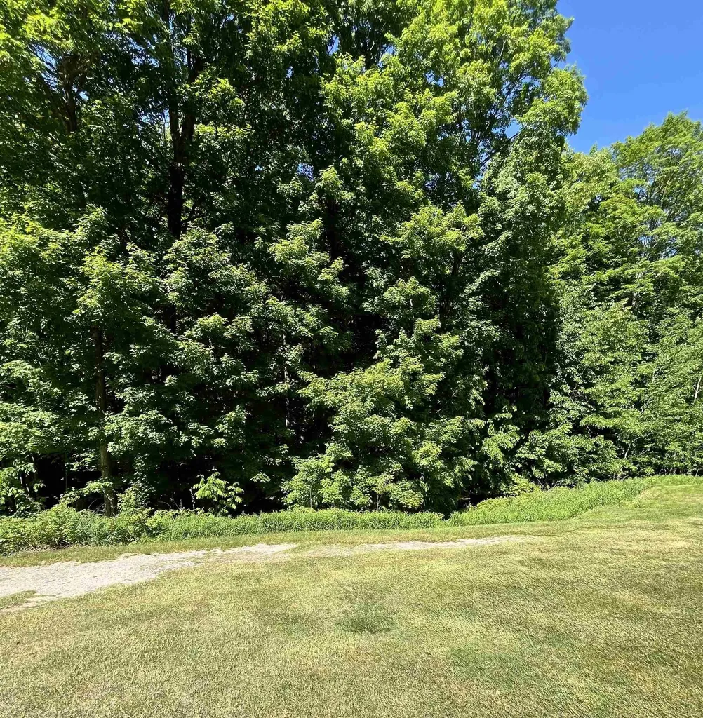 V/l 60 Sparrow Hawk Drive Kearney Township MI 49615