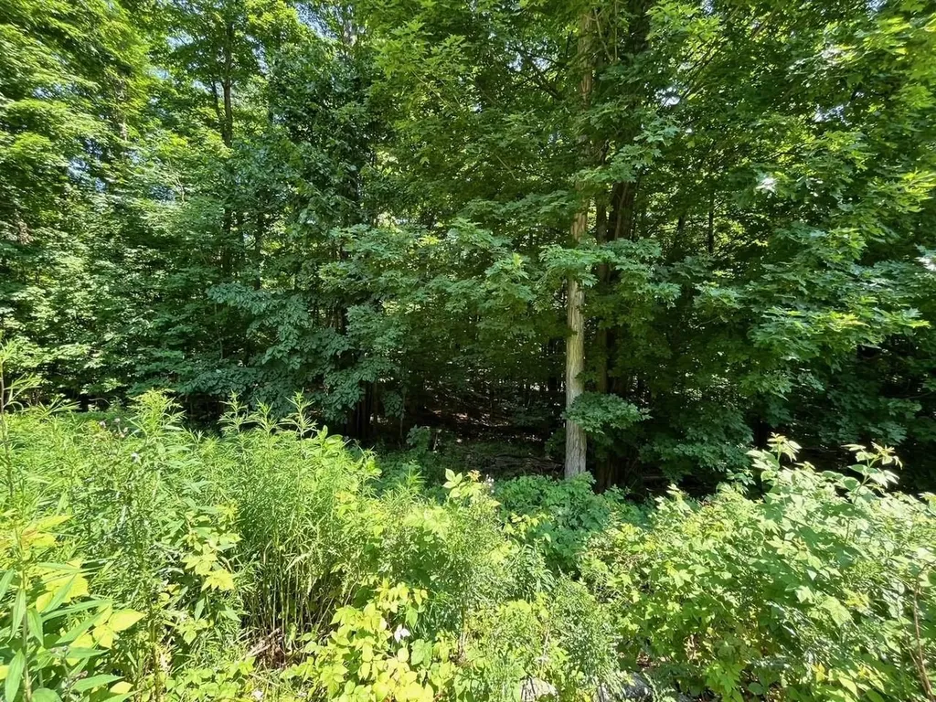 V/l 60 Sparrow Hawk Drive Kearney Township MI 49615
