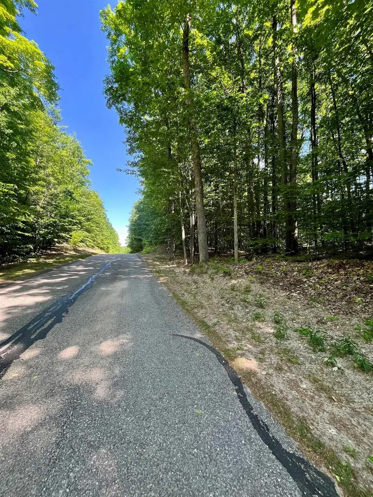 V/l 60 Sparrow Hawk Drive Kearney Township MI 49615