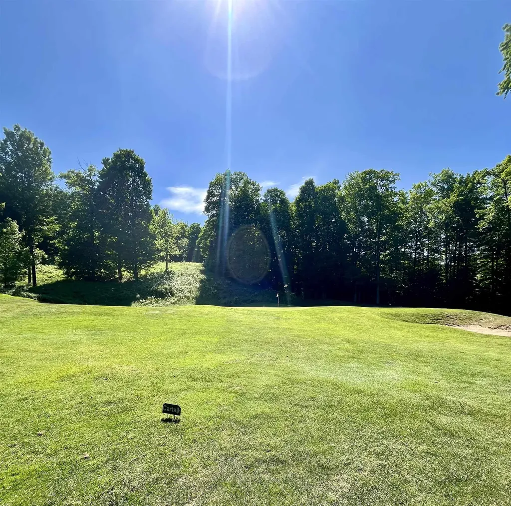 V/l 60 Sparrow Hawk Drive Kearney Township MI 49615