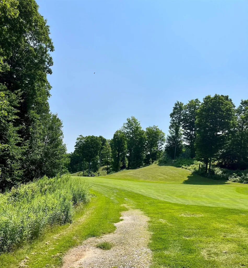 V/l 60 Sparrow Hawk Drive Kearney Township MI 49615