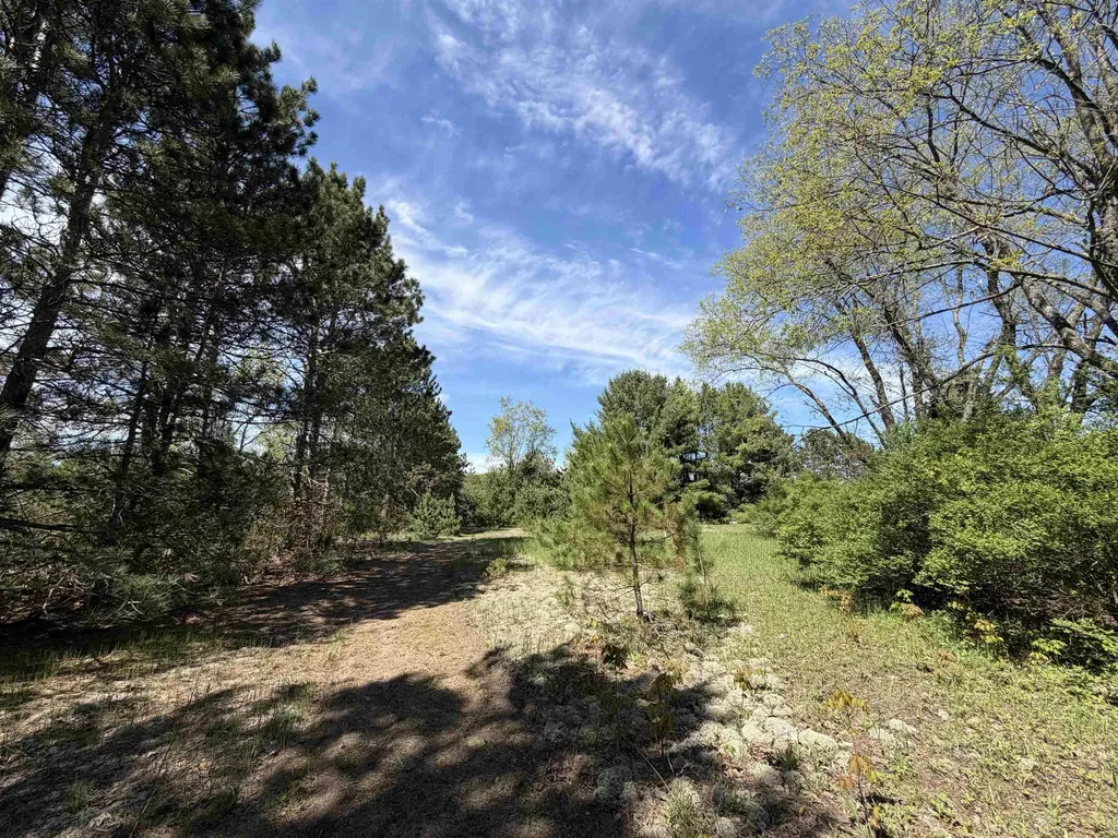 13158 Cinder Homestead Township MI 49617