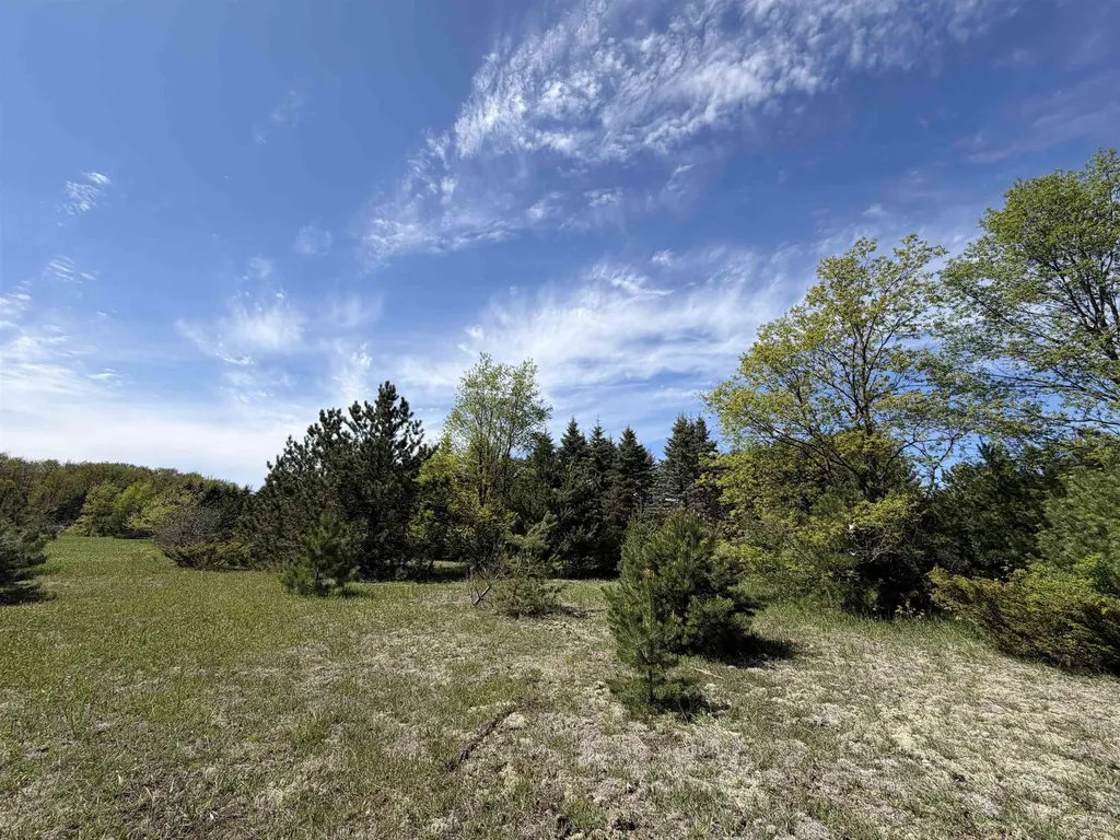 13158 Cinder Homestead Township MI 49617