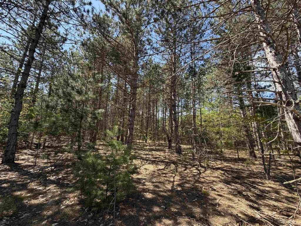 13158 Cinder Homestead Township MI 49617
