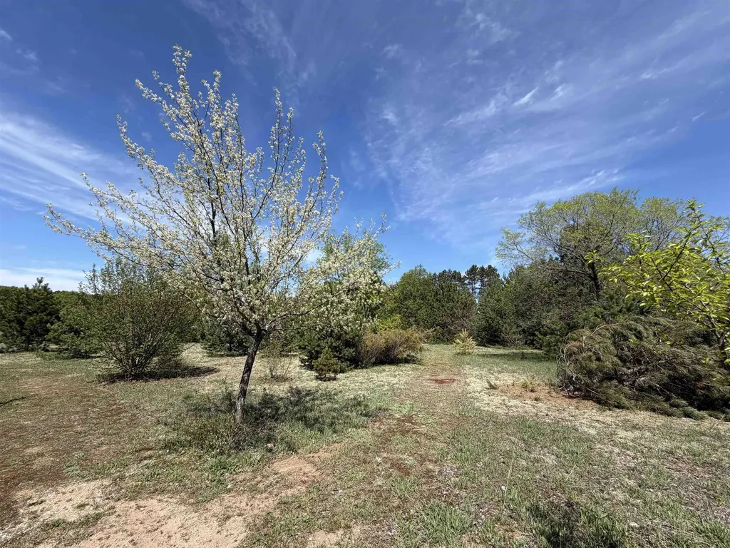 13158 Cinder Homestead Township MI 49617