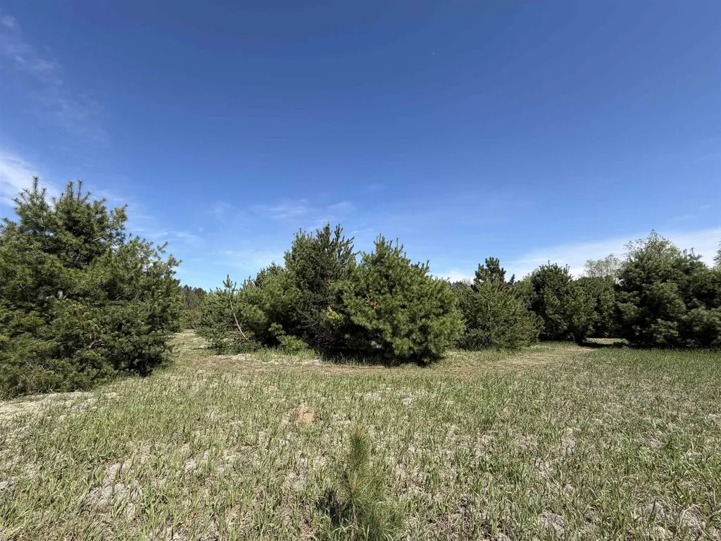 13158 Cinder Homestead Township MI 49617