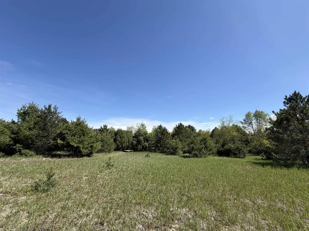 13158 Cinder Homestead Township MI 49617