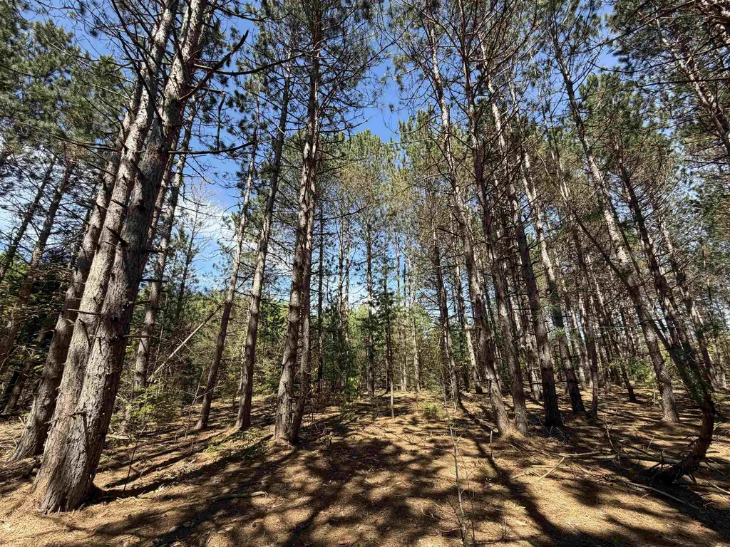 13158 Cinder Homestead Township MI 49617