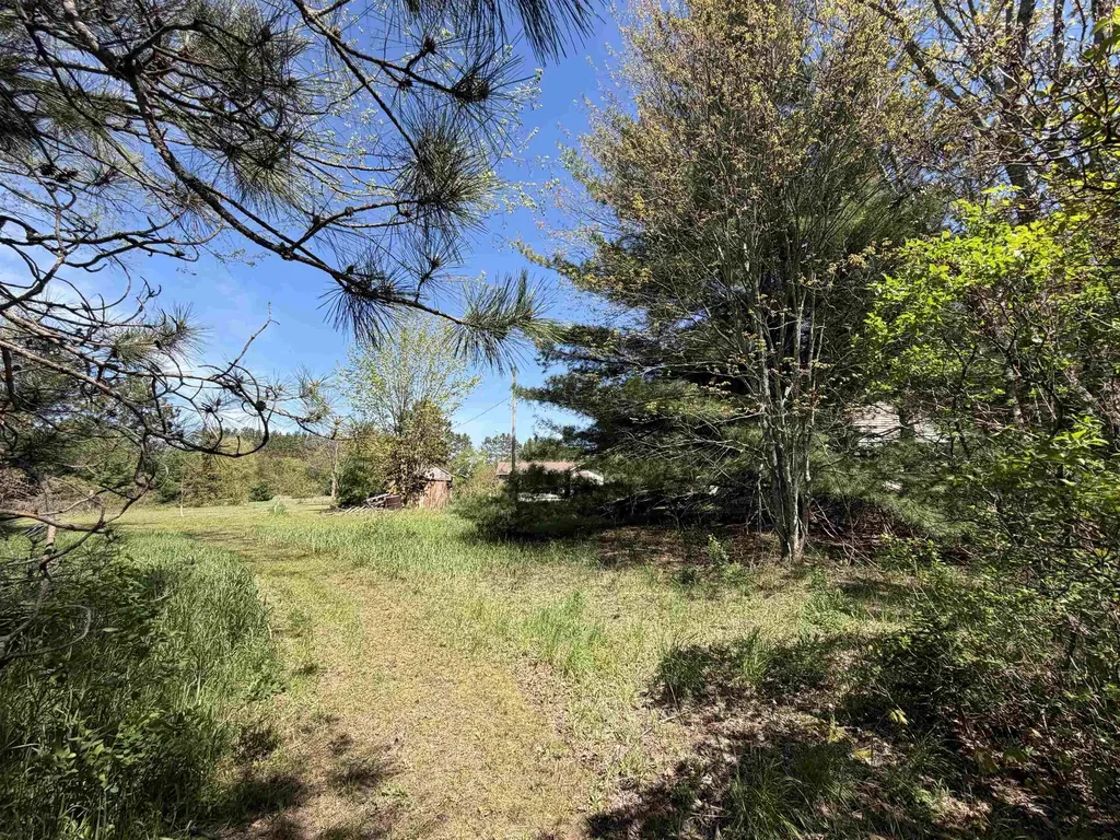 13158 Cinder Homestead Township MI 49617