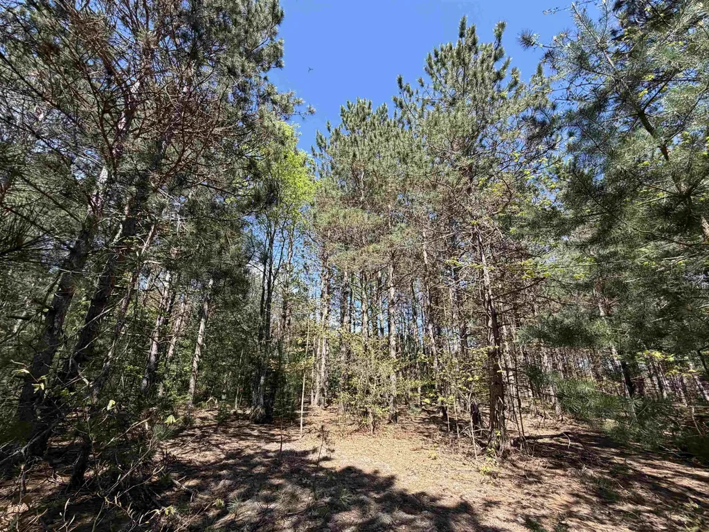 13158 Cinder Homestead Township MI 49617