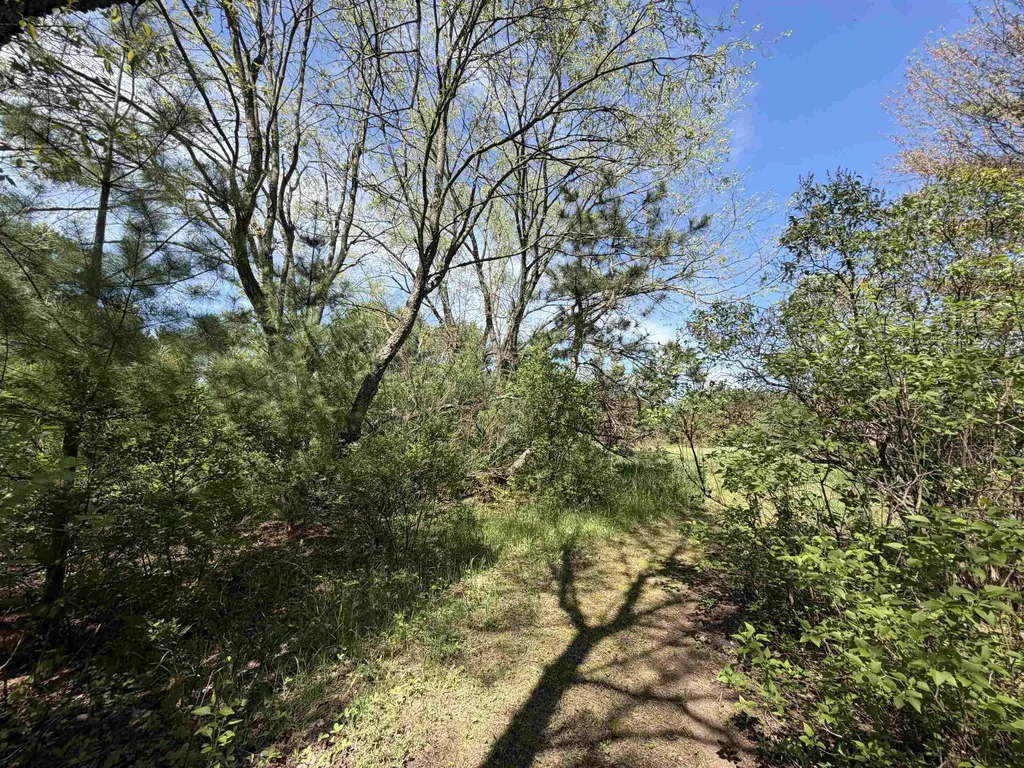 13158 Cinder Homestead Township MI 49617