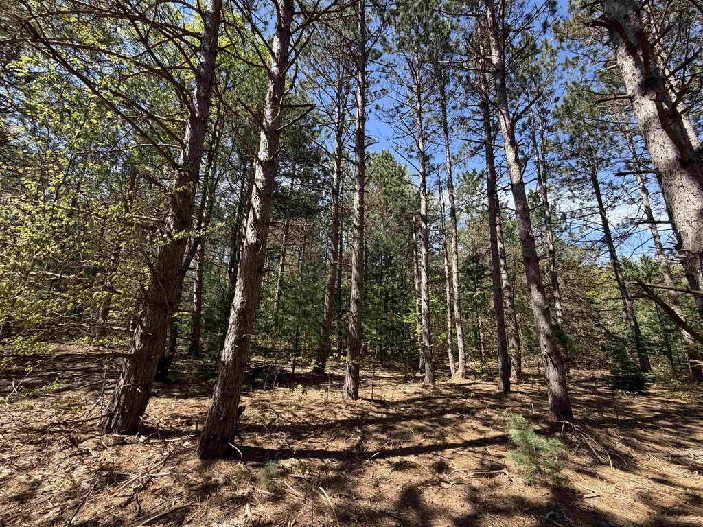 13158 Cinder Homestead Township MI 49617